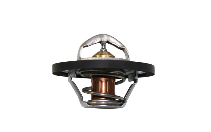 Thermostat Fiat Dino 2000