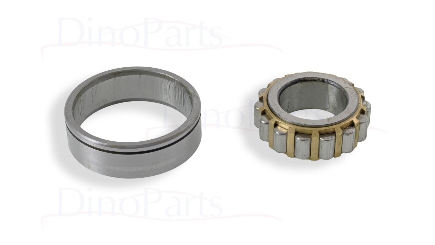 Roller Bearing with Groove and Brass Cage Ferrari Dino 206