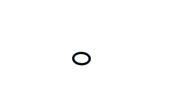 O-Ring Einstellschraube