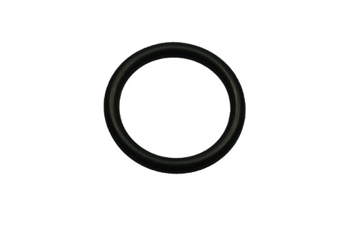 O-Ring Wasserpumpe