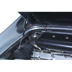 Gas Spring Engine Compartment Ferrari Dino 246